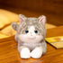 5Lbs 26", Large Weighted Stuffed Animals for Adults Soft and Cuddly Gray Weighted Cat Plush, Realistic Cat Stuffed