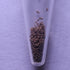 GreenWaterFarm Triops Longicaudatus Eggs for Hatching and Culture, Suitable for Pet and Science Project