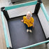 SHEETWORLD.COM Pack 36x36, 36 36 100% SheetWorld Fitted N Play Playard Sheet Fits The Graco Tot Bloc, Delta Children