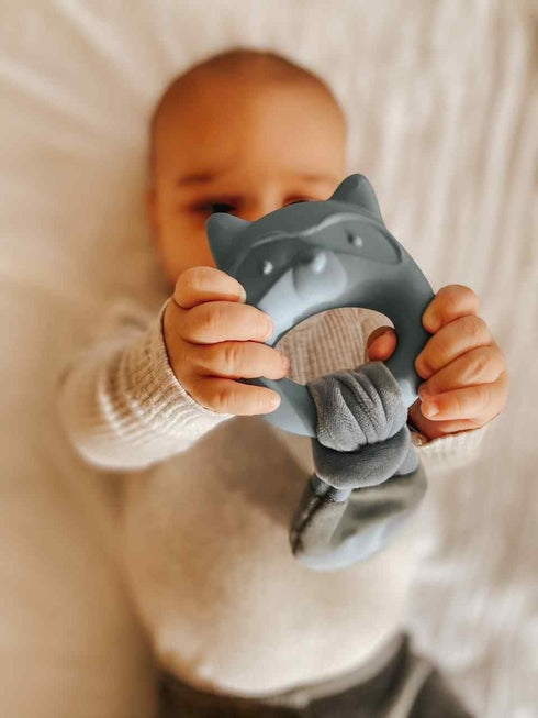 Mary Meyer Teething Toys Leika Silicone Baby Teether, 9-Inches, Little Raccoon for Babies 0-12 Months