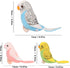 3 5.5 inches, Pcs Budgerigar Plush Toy, Parakeet Plush Toy, Budgie Soft Toy, Bird Stuffed Animal for Kids, Blue