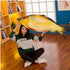 JULAN 3D Giant Soft Fish Cushion Pillow Carp Plush Pillow Stuffed Toy Throw Pillow for Home Decoration Gift Kids Pillow Stuffed Animal Toy (31inch/ 78cm)