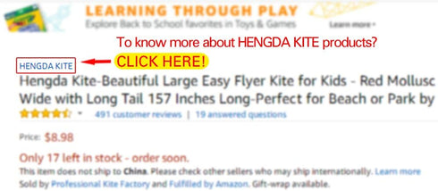 Hengda Kite Software Octopus Flyer Kite, Long Colorful Tail for Kids and Adults, Easy to Fly