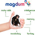 110 Fridge Magnets for Toddlers in Gift Tin Box | Kids Magnetic Animals for Refrigerator | Toddler Fridge Magnets