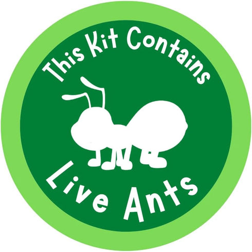 Insect Lore Two Tubes of Live Ants - 50 Live Harvester Ants with Ant Life Cycle Stages Figurines