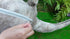 Lenwen 5 Pieces Bearded Dragon Lizard Plush Toy Set, 26 Inch Bearded Dragon Stuffed Animal with 4 Plush Baby Lizards
