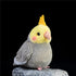 Nohito Realistic Grey Cockatiel Parrot Plush Toy, Simulation Fake Bird Cockatoo Stuffed Animal 4.9'' (Grey, M)
