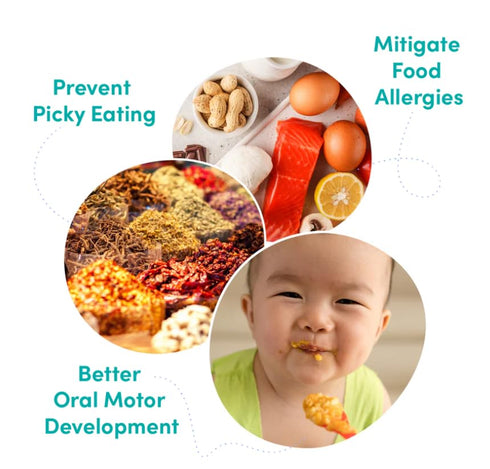 3 6+ 4 oz 4-Pack Globowl Stage Baby Food & Toddler Meals, Months Early Allergen Introduction, Baby Led Weaning