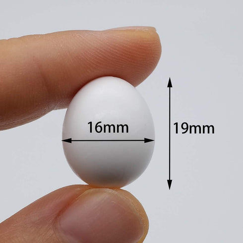 FOIBURELY 8 Eggs19mm*16mm Pcs Solid Parrot Plastic Eggs Hatching Eggs ParrotletBudgie ParakeetDiamond Dove Trick The