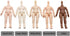 niannyyhouse DOD Doll Action Figures Body - 10cm for 1/12 BJD Dolls Head (Normal White-Standard Package A)