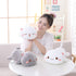 Jensquaify 13.7") Cat Stuffed Animals, Soft Cat Plush Pillow Kawaii Kitten Stuffed Animal Toy Gifts for Kids (Grey