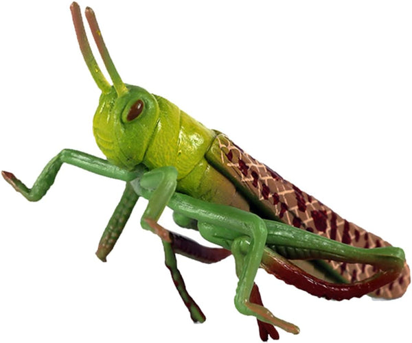 1pc Animal Model Christmas Ornaments, Educational Outdoor Playset Decor, Hanging Wall Decor Fake Grasshoppers Figurine