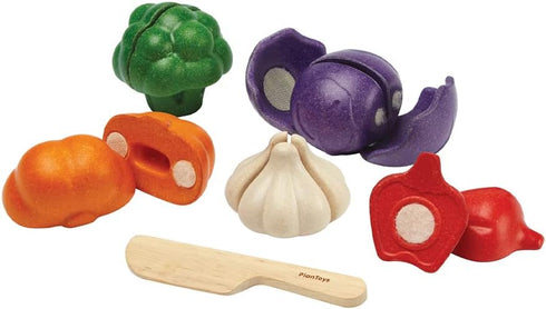PLAN TOYS Plantoys - Eco-friendly Educational Toy, Multi-Color (3431)