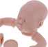 Reborn Doll Kit, 19 Inch Simulation Baby Dolls Accessories, Unpainted Baby Doll Mold with Limbs, Head, Body