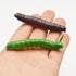 24Pcs Simulation Caterpillar Plastic Fake Worm Crawling Halloween Prank Toy, Educational Learning Toys for Kids