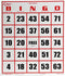 Regal Bingo - Easy Read Jumbo Bingo Cards, 50 Count, Perfect for Large Groups, Non-Repeating Set