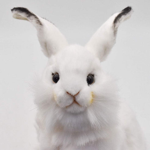 Rabbit Plush Animal Toy, 13", White - Hansa