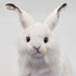 Rabbit Plush Animal Toy, 13", White - Hansa