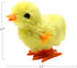 3 otters 12PCS Wind Up Chick Toys, Wind-Up Jumping Cute Chicken Plush Chicks Toys for Kids Easter Party Favors