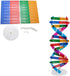 DNA Kit Self Double Helix Model, Assembling Display Stand for Biological Teaching and Learning