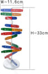 DNA Kit Self Double Helix Model, Assembling Display Stand for Biological Teaching and Learning