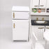 Dollhouse Decoration Accessories - Mini Dollhouse Furniture Refrigerator, Miniature Living Room Pretend Play Toy