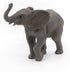 Papo Hand-Painted Wild Animal Kingdom Young Elephant Figurine 50225, Collectible for Children 3+