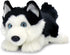 Aurora World Miyoni Black Lying Husky Plush - Super Soft 11" Realistic