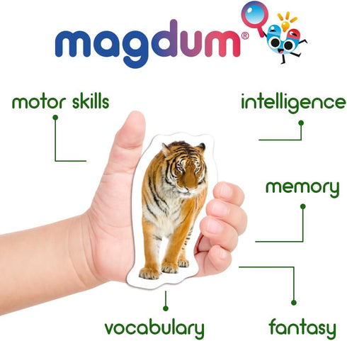 19 Fridge Magnets for Toddlers, Zoo Photo Kids Magnets for Refrigerator, Animal Magnets
