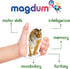 19 Fridge Magnets for Toddlers, Zoo Photo Kids Magnets for Refrigerator, Animal Magnets