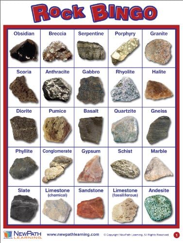 NewPath Learning Rock Bingo Game for Grade 5-9