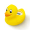 b&h Digital Duckling Baby Bath Thermometer, Infant Safe Floating Water Temperature Toy, BPA-Free, Easy to Read