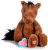 Recordable Stuffed Animals | 20 sec Heart Voice Recorder for Ultrasounds and Sweet Messages | Perfect Gender Reveal