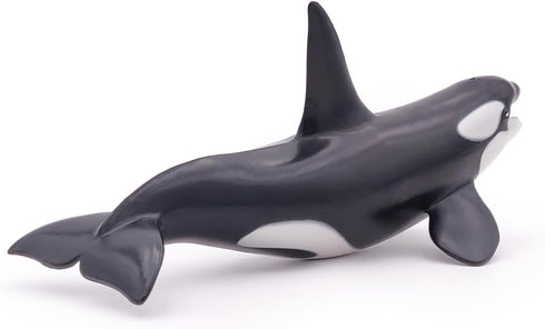 Papo Hand-Painted Figurine - Marine Life Killer Whale Figure 56000 - Collectible for Boys and Girls - Ages 3+