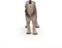 Papo Hand-Painted Figurine, Wild Animal Kingdom Howling Wolf, 50171, Collectible for Children
