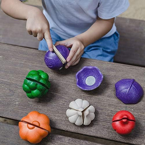 PLAN TOYS Plantoys - Eco-friendly Educational Toy, Multi-Color (3431)