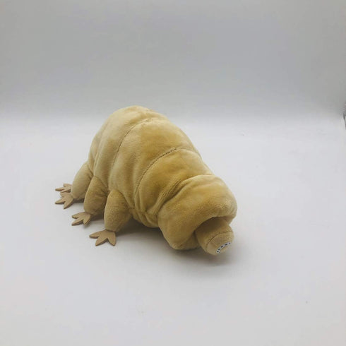 TAMMYFLYFLY Lifelike Tardigrade Plush - Water Bear Stuffed Animal Doll