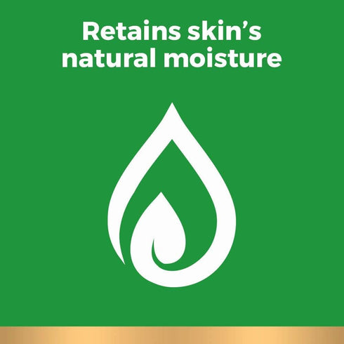 Irish Spring Mountain Chill Body Wash - Refreshing Clean