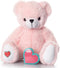 My Baby's Heartbeat Bear Recordable Stuffed Animal for Ultrasounds and Sweet Messages Playback, Pink Bear Gender Reveal