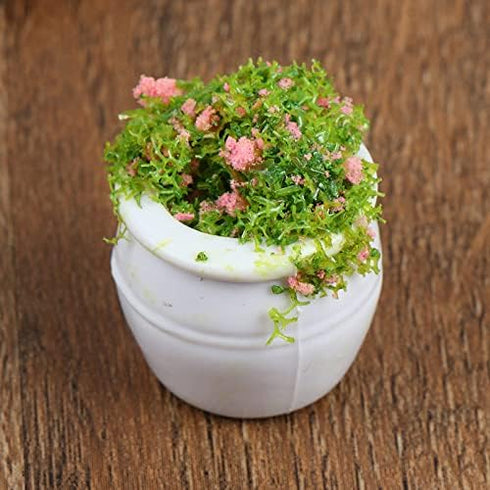 4 Pcs Dollhouse Potted Plants, Miniature Artificial Bonsai & Flowerpot for 1:12 Dollhouse Decor, Mini Plant Kit