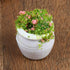 4 Pcs Dollhouse Potted Plants, Miniature Artificial Bonsai & Flowerpot for 1:12 Dollhouse Decor, Mini Plant Kit
