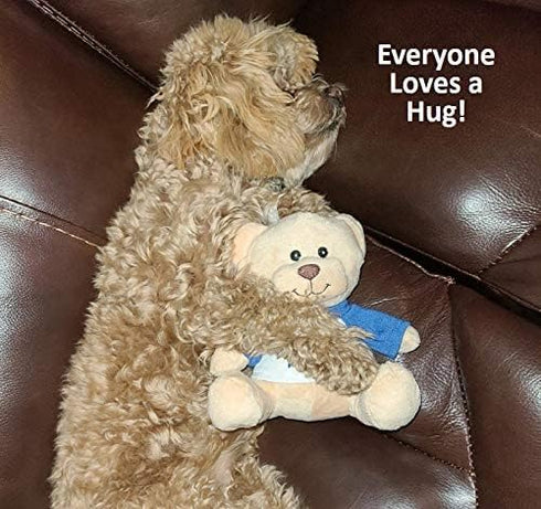 Super Cute and Cuddly 6 Inch Plush Mini Teddy Bear with Need a Hug? Message T-Shirt, Great for Gift Baskets