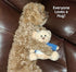 Super Cute and Cuddly 6 Inch Plush Mini Teddy Bear with Need a Hug? Message T-Shirt, Great for Gift Baskets