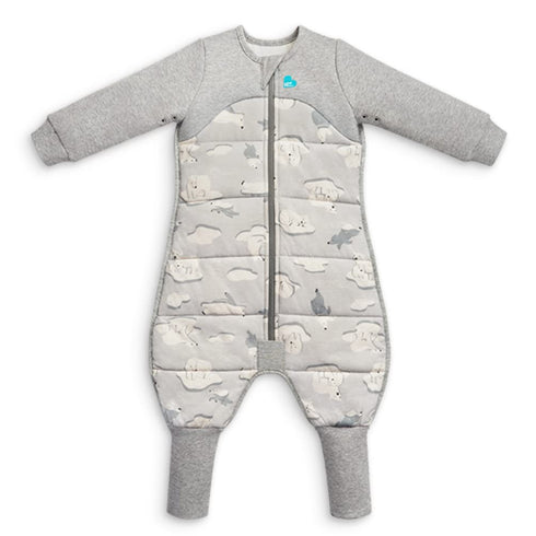 Love to Dream Extra Warm Baby Sleep Suit (6-12 Mo), Super Soft