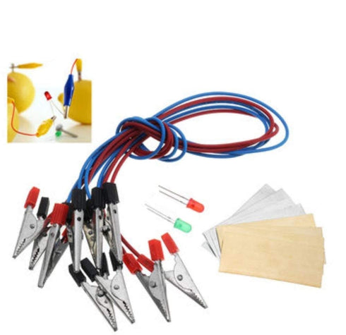 Fruit Battery Light Diode Science Kit, Orange Potato Lemon Battery Physics Teaching Experiment