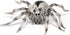 Papo Hand-Painted Wild Animal Kingdom Tarantula Figurine 50190 - Collectible for Children Ages 3 and Up