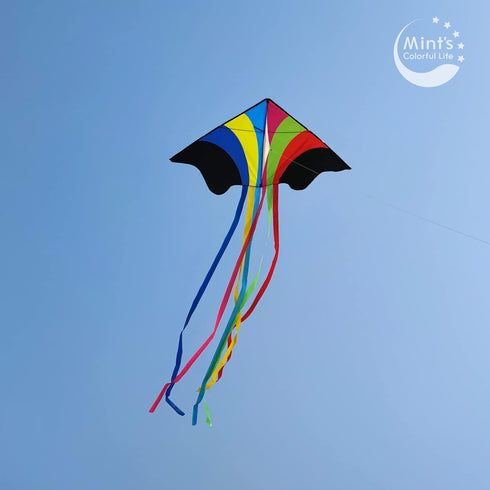 Mint's Colorful Life Delta Kite for Kids & Adults, Extremely Easy to Fly, Best Kites for Beginners