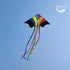 Mint's Colorful Life Delta Kite for Kids & Adults, Extremely Easy to Fly, Best Kites for Beginners