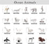 18PCS Arctic Animal Figures, Realistic Polar Animal Toys for Kids with Ocean Sea Animal Figurines