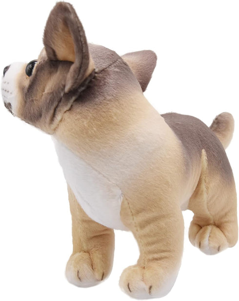 Lifelike Chihuahua Stuffed Animal, Animated Plush Puppy Toy, Super Realistic Dogs, Excellent Gifts for Kids Birthday